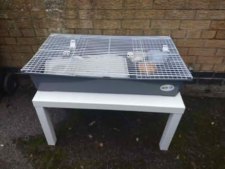 Photo of free Guinea Pig/Hamster cage (Rushden town centre NN10) #1