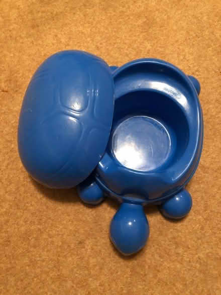 Photo of free Turtle potty (Lexden CO3) #1
