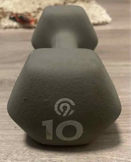 Photo of free One 10lbs weight (Lake Merritt, Oakland) #1