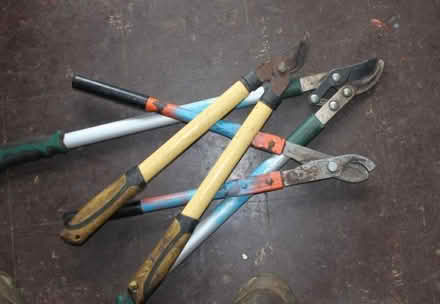 Photo of Garden loppers. (Lightpill GL5) #1