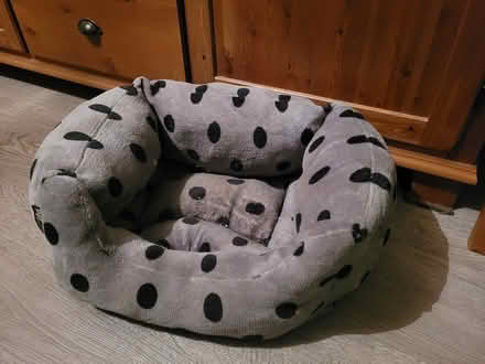 Photo of free Cat basket (Newark) #1