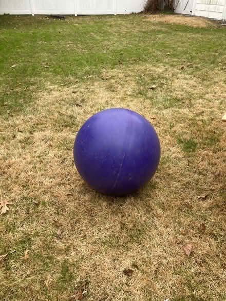 Photo of free Circus balance ball (Riverside Connecticut exit 5) #1