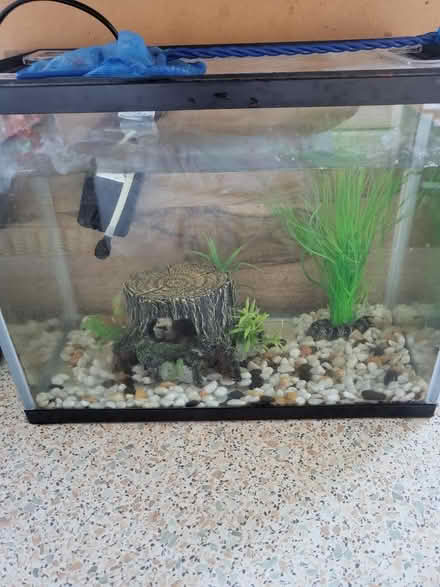 Photo of free Small fish tank (Oakwood derby) #1