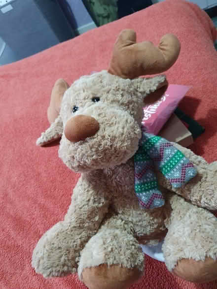 Photo of free Big soft Teddy Reindeer (Epsom KT19) #2
