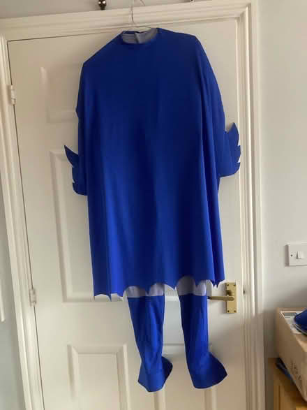 Photo of free Batman outfit about age 9-10 (Aston Fields B60) #2