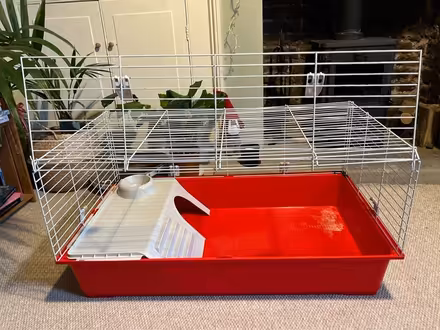 Photo of free Indoor guinea pig/rabbit cage (Hanover BN2) #3