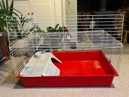 Photo of free Indoor guinea pig/rabbit cage (Hanover BN2) #3