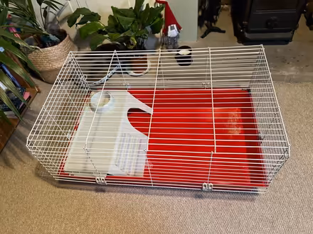 Photo of free Indoor guinea pig/rabbit cage (Hanover BN2) #4