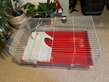 Photo of free Indoor guinea pig/rabbit cage (Hanover BN2) #4