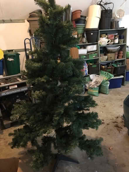 Photo of free Xmas Tree 6 1/2 foot (Kitchener) #1