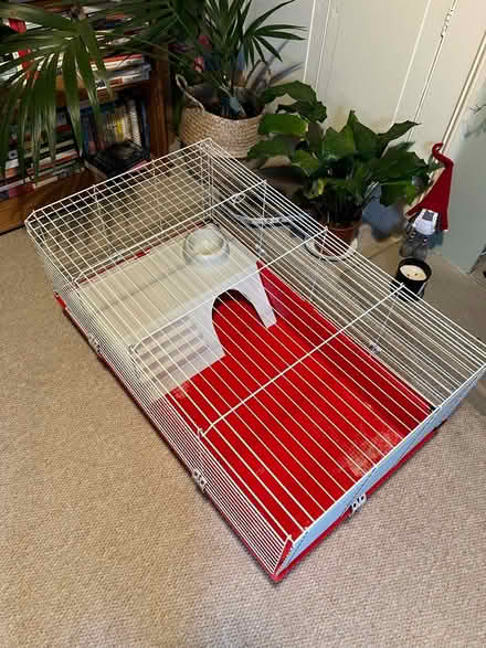 Photo of free Indoor guinea pig/rabbit cage (Hanover BN2) #2