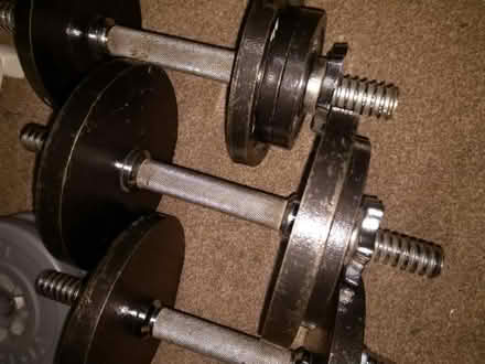 Photo of free Body building: Pro Power bench, bars and weights (Barnes SW13) #2