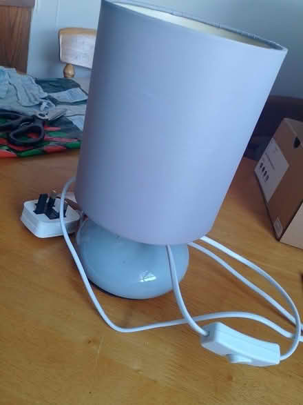 Photo of free Small desk lamp (Layerthorpe YO31) #2
