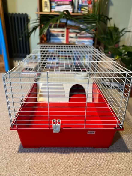 Photo of free Indoor guinea pig/rabbit cage (Hanover BN2) #1