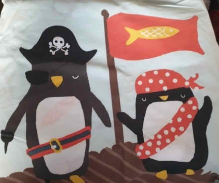 Photo of free single quilt covers & matching cases (Foots Cray DA14) #4