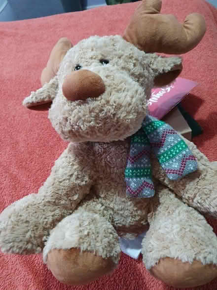 Photo of free Big soft Teddy Reindeer (Epsom KT19) #1