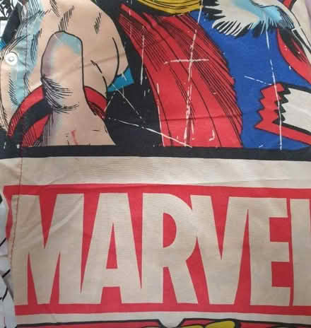Photo of free single quilt covers & matching cases (Foots Cray DA14) #2