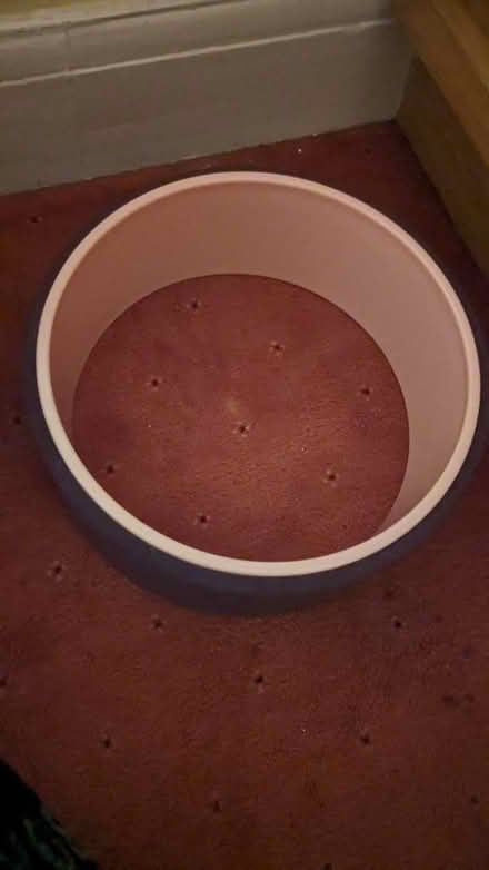 Photo of free Yoga wheel (BR1) #3