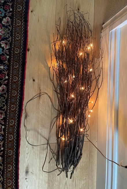 Photo of free Christmas Lights (Cutteslowe OX2) #2