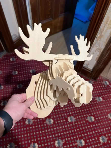 Photo of free Wooden Moose Head Decor (Bootle) #1