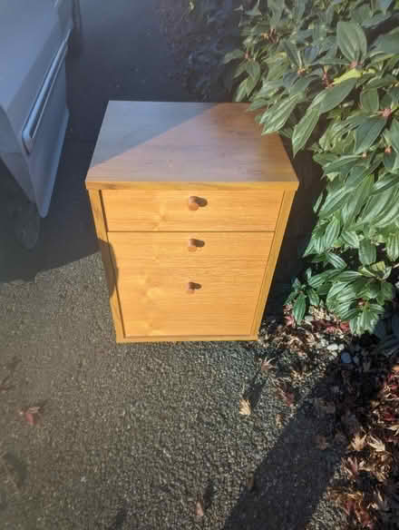 Photo of free Teak veneer file cabinet (Seatac) #1