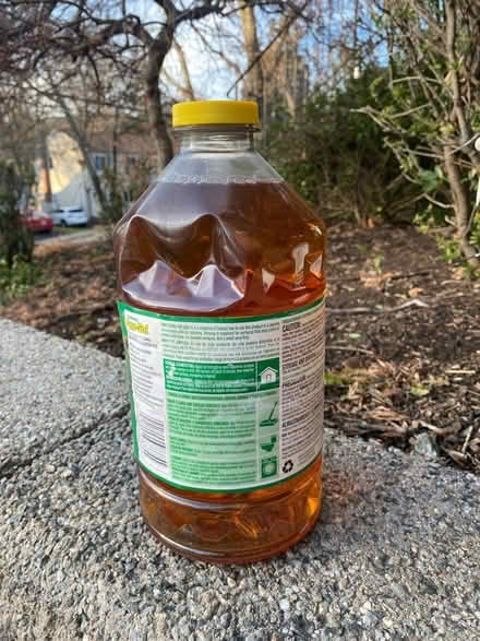 Photo of free Line sol (Oakland NJ) #1