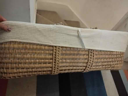 Photo of free Claire de lune moses basket (SE23) #2