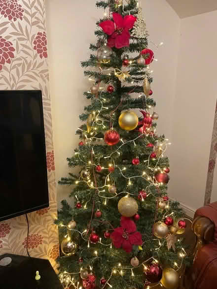 Photo of free Xmas tree (Hendon central (NW4)) #1