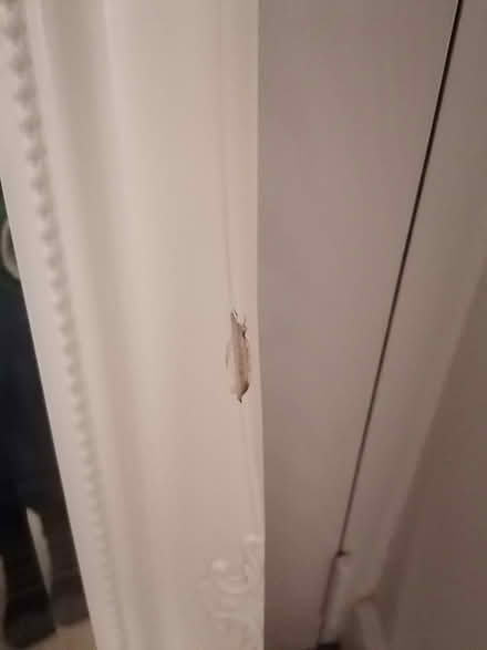 Photo of free Mirror (Earlsdon, CV5) #3