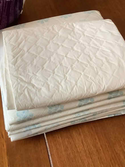 Photo of free Shampoo caps & other disability items (Tenbury Wells WR15) #2