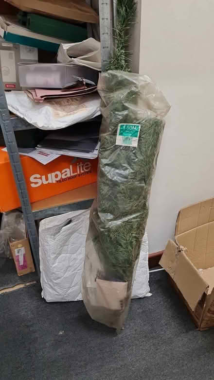 Photo of free 2 Christmas trees in Polegate (Polegate BN26) #2