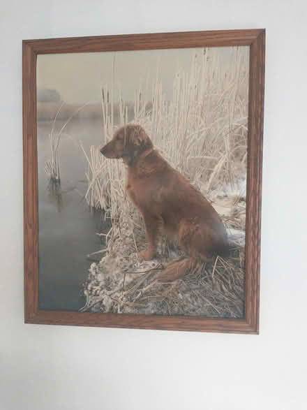 Photo of free Framed (poster) Photo (Chelmsford) #1