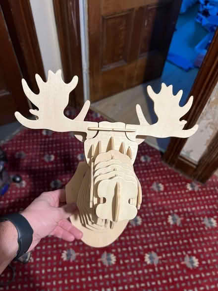 Photo of free Wooden Moose Head Decor (Bootle) #2