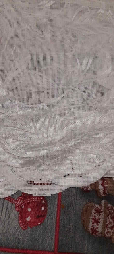 Photo of free Nets (Nr chichester west sussex) #2