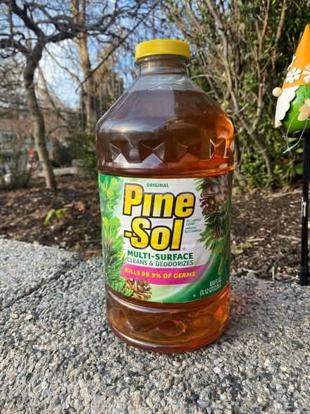 Photo of free Line sol (Oakland NJ) #2