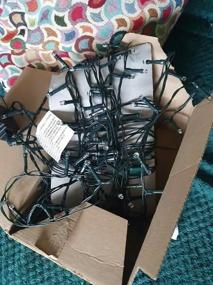Photo of free Christmas lights (Hollin Estate Middleton M24) #1