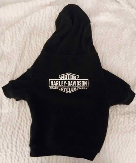Photo of free Harley Davidson Dog Hoodie (Billy Graham & I-85) #1