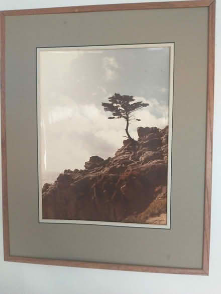 Photo of free Framed photo (Chelmsford) #1