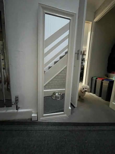 Photo of free Tall Mirror (Chester CH4) #4