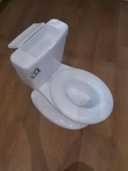 Photo of free Potty (Carshalton Beeches SM5) #1