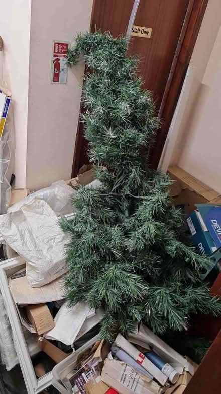Photo of free 2 Christmas trees in Polegate (Polegate BN26) #1