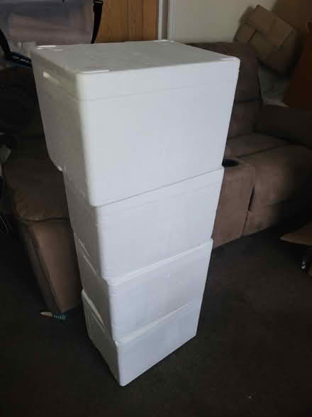 Photo of free Small polystyrene boxes (Leyton, E10) #1