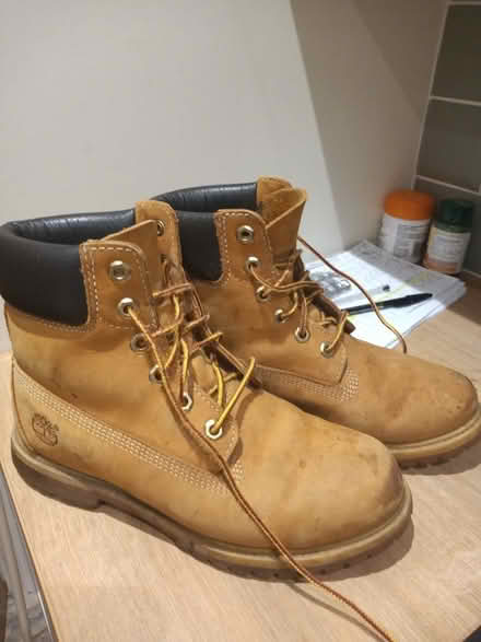 Photo of free Timberland Boots (Icklesham TN36) #1