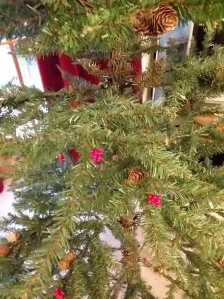 Photo of free Artificial Christmas Tree (Currie EH14) #3