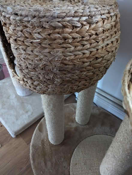 Photo of free Used cat tree, 158cm tall (New Barnet EN4) #4