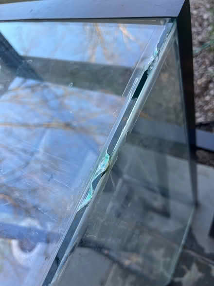 Photo of free 20 gallon tank with mesh cover (Chevy Chase DC) #4