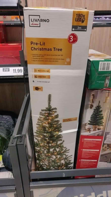Photo of free 6ft Christmas tree (G82 Dumbarton) #2