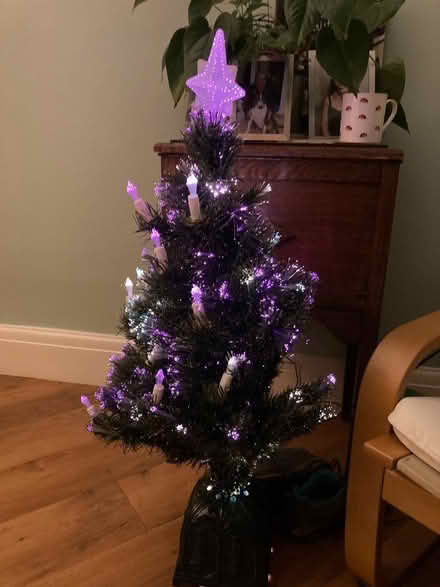 Photo of free 3ft pre-lit Christmas tree (Smallwood B98) #2