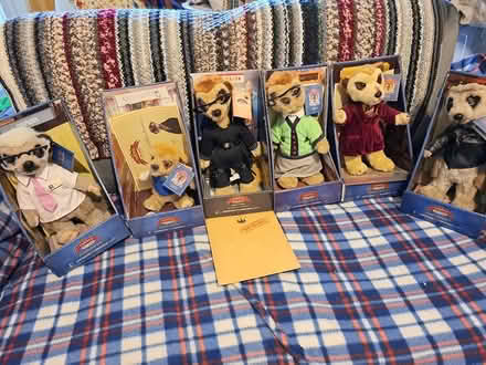 Photo of free 6 meerkats (melksham east SN12) #4