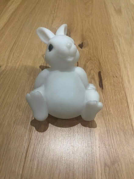 Photo of free Rabbit light (SE28) #1